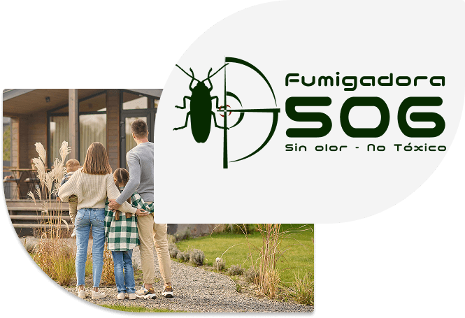 Fumigadora 506